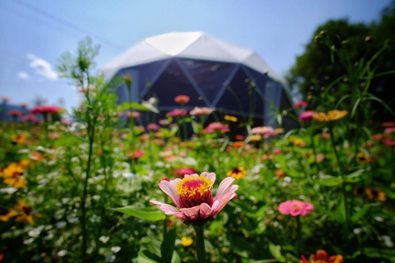 That's Life Glamping - Dolomite Experience Tente de luxe Dorgnan