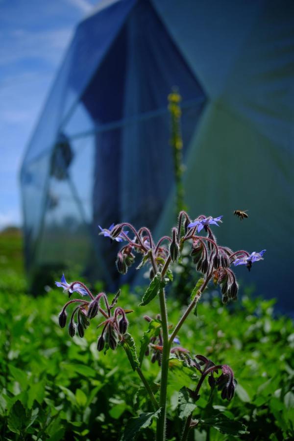 That's Life Glamping - Dolomite Experience Tente de luxe Dorgnan